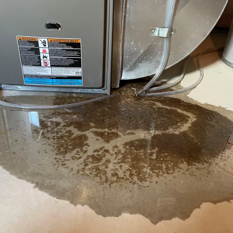 Appliance Leak Cleanup in Eclectic, AL