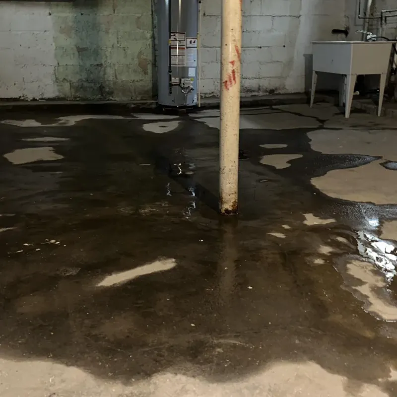 Emergency Water Extraction And Removal in Eclectic, AL